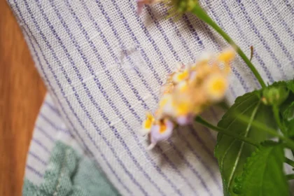 緑の縁の白と紫の縞のリネンクロスに穴が開いていて、花が飾ってあります。